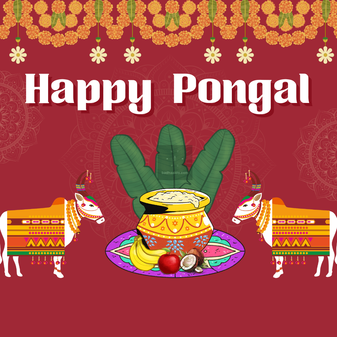 Celebrate Pongal Festival 2026 with joy and gratitude. Know Pongal date, significance, traditions, and heartfelt wishes.