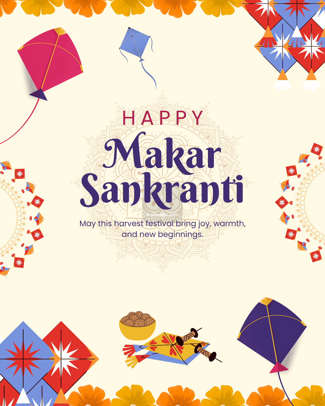 Sankranti kite flying festival HD video